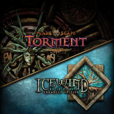 Icewind Dale: Enhanced Editions (PS4) - NOT SELLING GAME DISC
