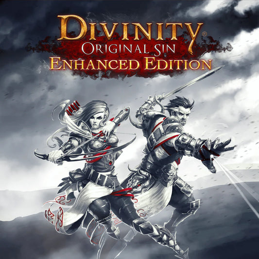 Divinity: Original Sin (PS4) - NOT SELLING GAME DISC