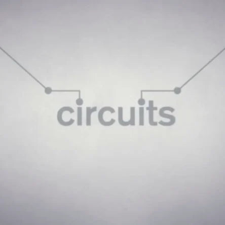 Circuits (PS4) - NOT SELLING GAME DISC